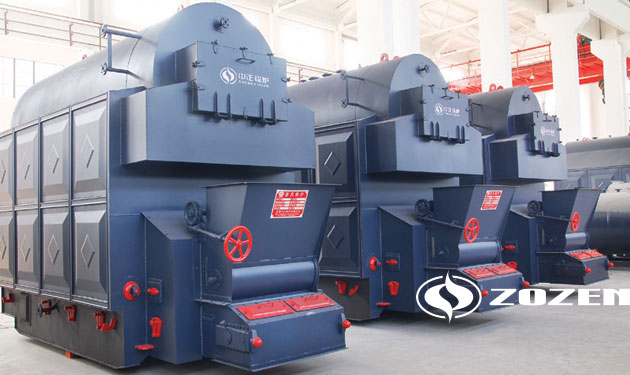 4 tph DZL biomass fired steam boiler