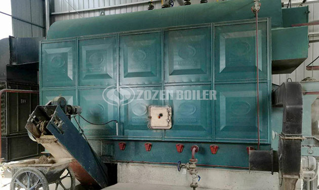 4 tph DZL biomass fired fire tube boiler project for food industry