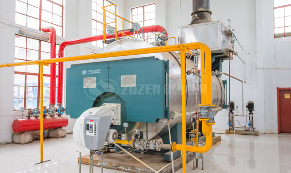 6 tons WNS condensing gas steam boiler project