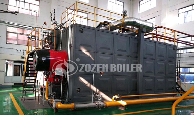 20 tph SZS gas fired water tube boiler project