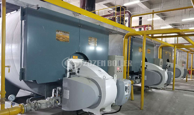 7MW WNS gas fired hot water boiler project