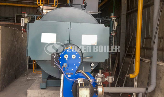 2tph WNS gas fired steam boiler project