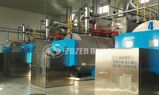 7MW WNS series gas fired hot water boiler project