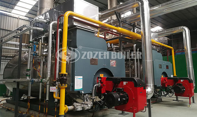 10 tph WNS fire tube boiler project