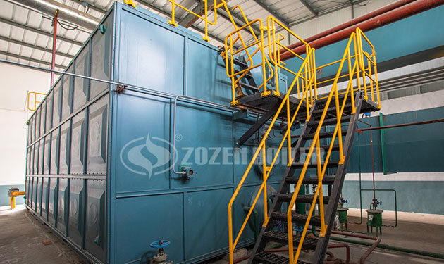 25tph SZS condensing gas fired steam boiler project