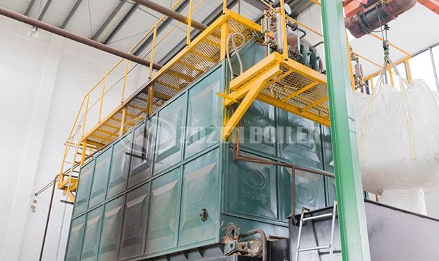 6tph SZL biomass fired boiler project