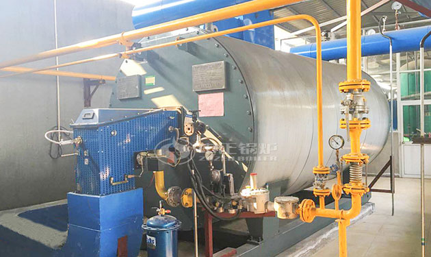 2.1MW horizontal gas fired thermal fluid heater project