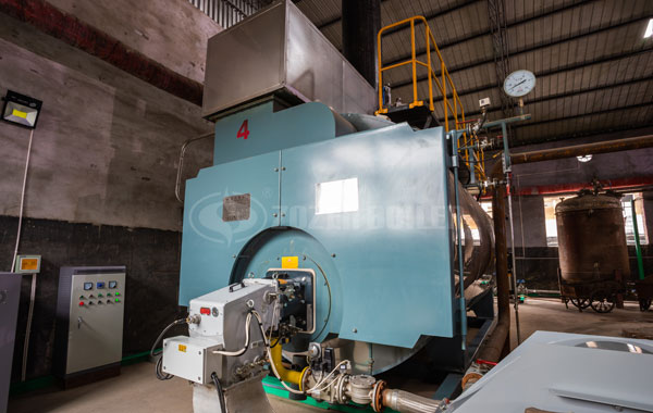 Gas Fired Steam Boiler For Beverage Process