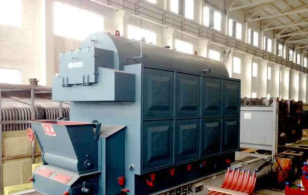 Coal fired boiler types and options