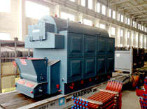 DZL series biomass fired steam boiler